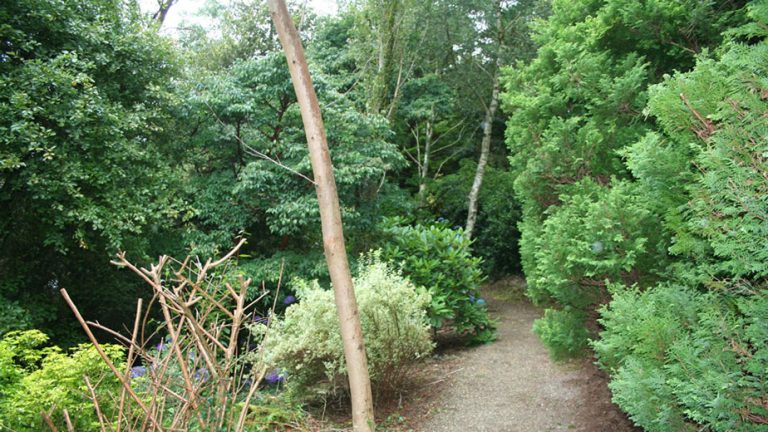 four-ashes-garden-walks-924